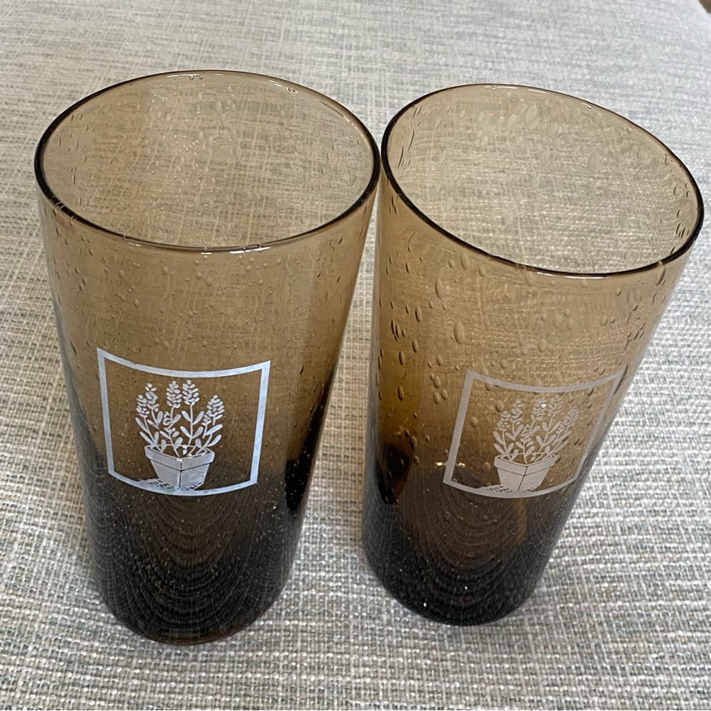 COPY - Pfaltzgraff Naturewood Serenity 16 oz Glasses (2)